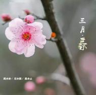 遍賞花花世界，不用東奔西走，來這一個城市就夠了！