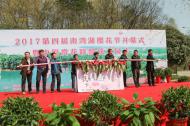 河南旅游市場(chǎng)運(yùn)營：第四屆南灣湖櫻花節(jié)開幕了！