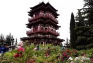 河南旅游策劃：真火爆！15萬人涌進(jìn)三門峽天鵝湖濕地公園牡丹園